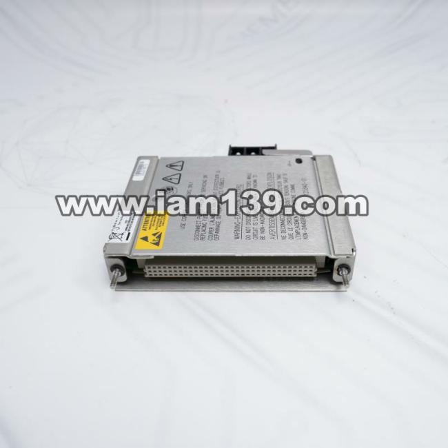 
Bently Nevada AC电源输入模块125840-01