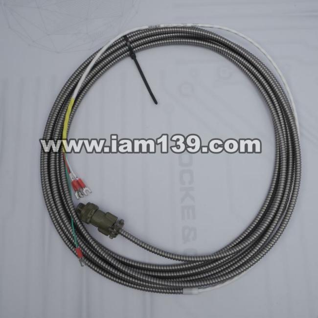 
16710-20 某某公司互连电缆