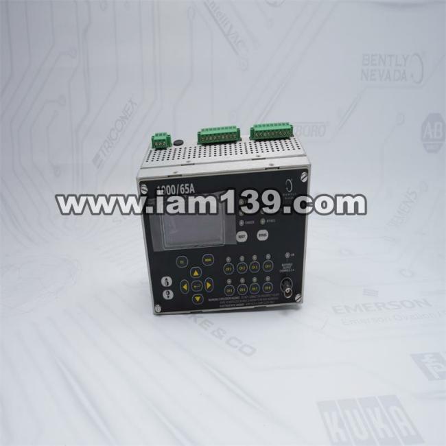 
Bently Nevada设备监控1900/65A