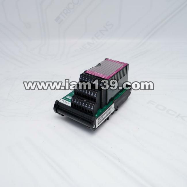 
Foxboro FBM204 P0916AG-0C现场终端组件