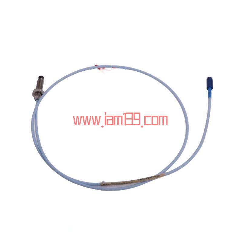 
Bently Nevada 146031-02 瞬态数据接口模块