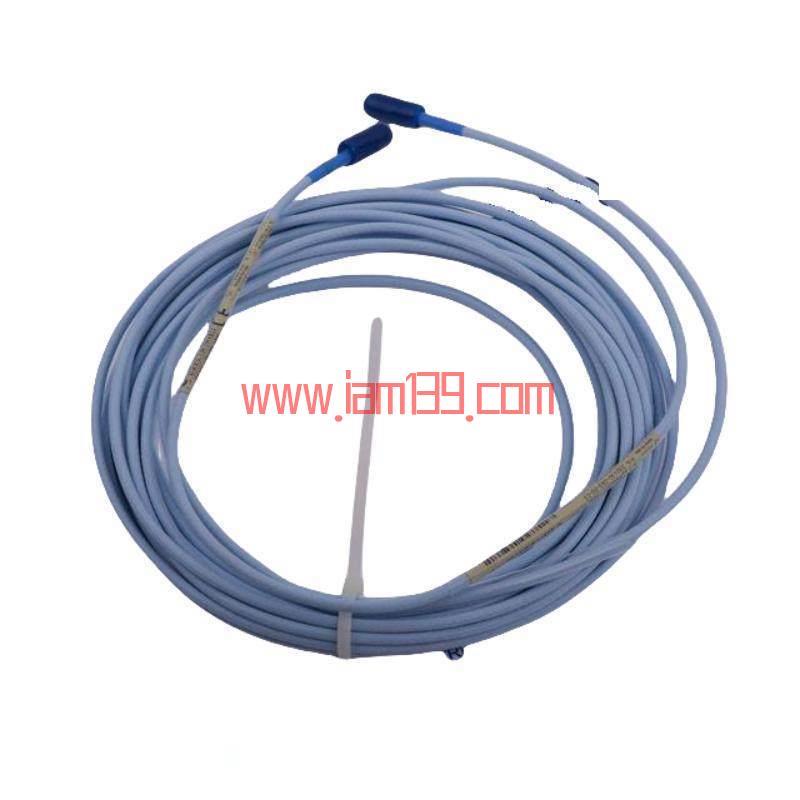 
Bentley Nevada 3300/35-13-01-01-00-02：六通道温度监测仪