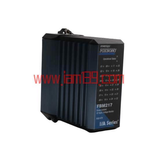 
FOXBORO AD202MV高性能控制模块