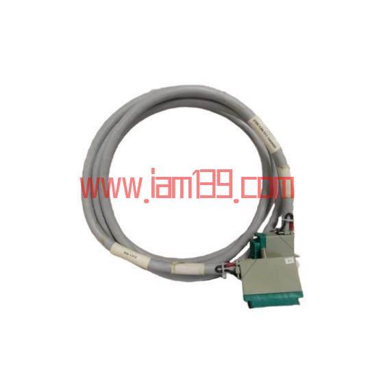 
TRICONEX 9763-810 工业控制系统功能模块