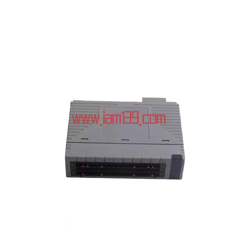 
横河Yokogawa AMM12T S2多路复用模块 - 工业自动化先进信号处理